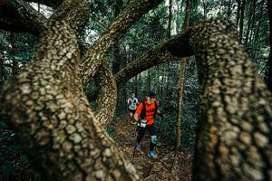 BIB: 
                            <button type="button" onclick="openModal(25393968)" class="btn btn-primary btn-sm float-right btn-popup" data-toggle="modal" data-target=".modal-high-quality">
                        <i class="fas fa-shopping-cart"></i> Add to Cart
                    </button>
                                            <button type="button" onclick="isThisMe(25393968, true)" class="btn btn-success btn-sm float-right btn-popup btn-isme hidden" data-toggle="tooltip" data-placement="bottom" title="นี่คือรูปของคุณใช่ไหม คลิกที่นี่เพื่อเอาเข้าอัลบั้ม">
                        <i class="fas fa-plus"></i> Add to album
                    </button>
                    <button type="button" onclick="isThisMe(25393968, false)" class="btn btn-warning btn-sm float-right btn-popup btn-isnotme hidden">
                        <i class="fas fa-ban"></i> Remove from album
                    </button>